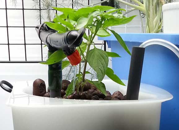 Introducing the Ikea table top petite hydroponic￼